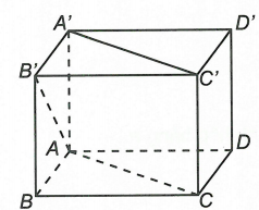 Hình minh họa câu hỏi